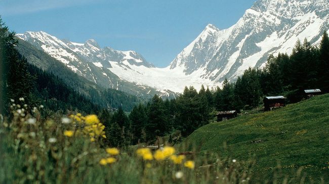 Hotel Edelweiss Blatten Loetschental מראה חיצוני תמונה
